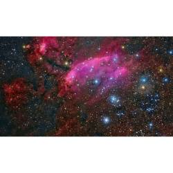 IC 4628: The Prawn Nebula #nasa #apod #eso #inaf #ic4628 #prawnnebula
