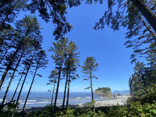 yournextdestination:  Olympic National Park Washington