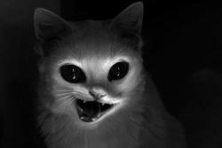 Slobbering Darkness
