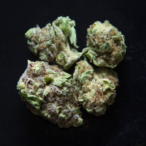 0livia0blivion:Review for the #sativa strain #mimosa is up now,