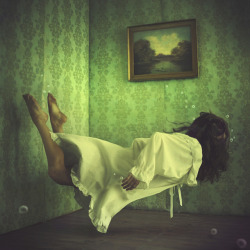 a home within a house by brookeshaden 