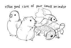 geckomun:a quick doodle (nearly all turtles get pretty big but