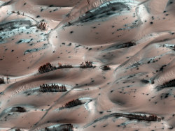 universe–stuff:  Frosty pink sands on Mars. The black lines