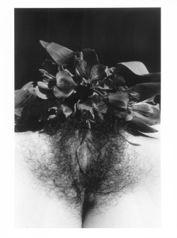 kelseydylan:  lucien clergue kelsey dylan 