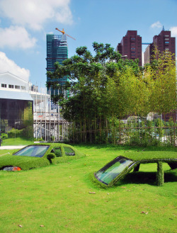 likeafieldmouse:  CMP Block, Taiwan - Cars Swallowed by Grass