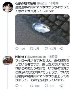gkojax:  Emikoさんのツイート: 犯罪予告にも使われてしまうけどこんな凄いこともツイッターでは起こってる。ヤリマンボウ！！