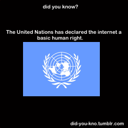 did-you-kno:  A United Nations report said that disconnecting