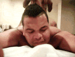 brothamanblack77:  phallusalley:  How it should be 