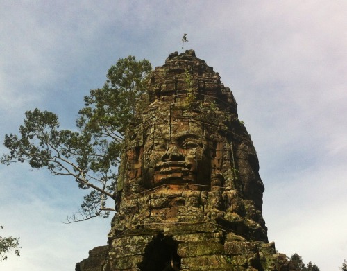 The wonders of Cambodia