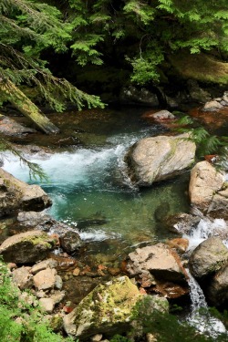 burningmine: Goat Lake Trail, August 2019