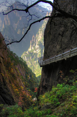 touchdisky:  by mr.paulb