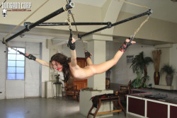 tieddowngirls:  Watch 100% FREE Bondage Videos HERE: http://bit.ly/1I7P0oA