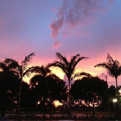 Enough said ðŸ˜ŠðŸŒ… #afterthestorm #nofilter #pretty #hookah #pink #florida #bipolarstate  (at Kahookah Cafe)