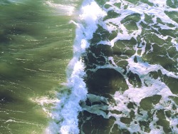 hannaoliviaway:  the ocean is swell. 