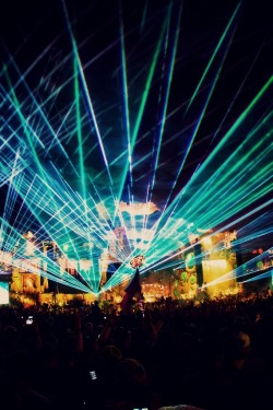 The feeling of being in one of these crowds omg