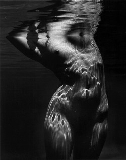 afroui:Brett Weston