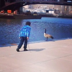 Amin testing his bravery. #son #goose #mycity #outside #chicago