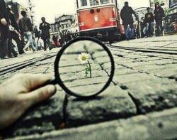Amor & Flow