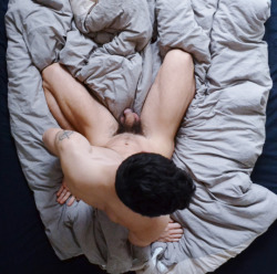 Gay porn and erotics