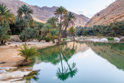 travelingcolors:  Wadi Bani Khalid | Oman (by Frans Sellies)