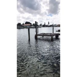 Calm before a storm 🌊    #stpetersburg #florida #leighbeetravel