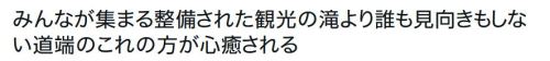 y-kasa:えぬびい 「みんなが集まる整備された観光の滝より誰も見向きもしない道端のこれの方が心癒される