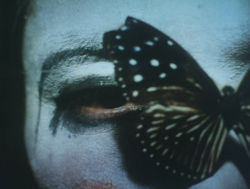raveneuse:  Shūji Terayama, Butterfly Dress Pledge (1974).