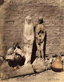 Félix Bonfils - Momies trouvées dans les tombeaux des rois