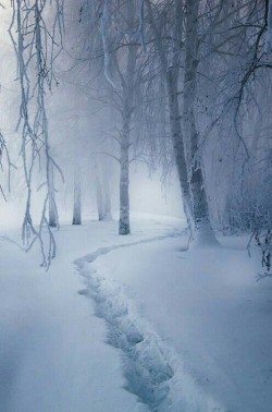 forever-winter-wonderland:☃️