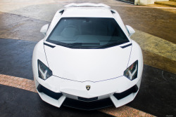 automotivated:  Aventador (by deswinlim)