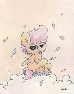 slightlyshade:  Dash gave her some feathers! Isn’t that sweet?