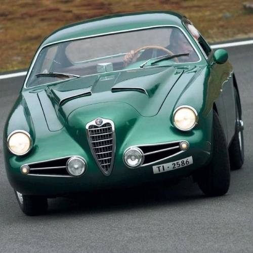 frenchcurious:Alfa Romeo 1900 1955. - source Lewsky Kosansu.