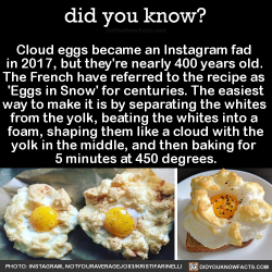 did-you-kno:  Cloud eggs became an Instagram fad  in 2017, but