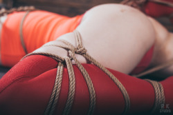 tied-yuno:  Just evening with ropes- new photo set for my patrons=)