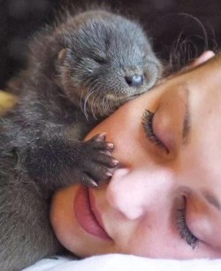 cute-overload:  I Otter Kiss You Right on the Facehttp://cute-overload.tumblr.com