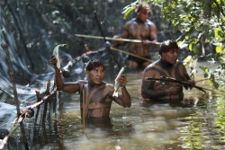 mvtionl3ss:   Yawalapiti tribe living traditionally in the Amazonian