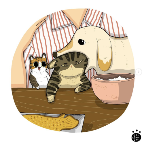 catsbeaversandducks:Art by ROCKYS || Daily Cat Cartoon