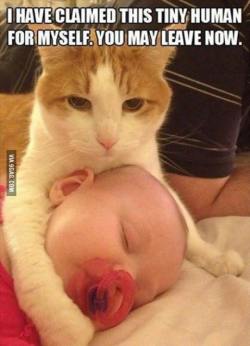 9gag:  Ok,I will leave now..just don’t hurt the baby 