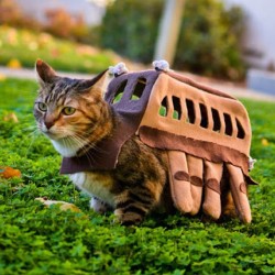 7cosplay:  Epic Catbus cosplay!