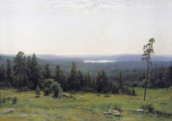 ivan-shishkin: The Forest Horizons, 1884, Ivan Shishkin https://www.wikiart.org/en/ivan-shishkin/the-forest-horizons-1884