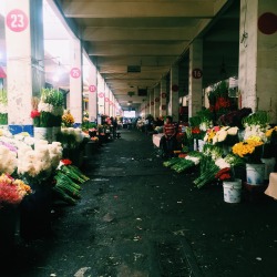 michelle-ada:  Mercado Jamaica, CDMX