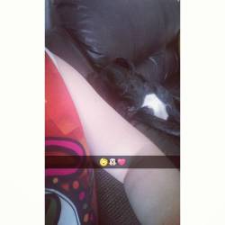 Que coisa mais linda ❤❤❤ #dog #pug #Raul