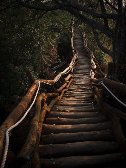 Meditation path in Taiwan