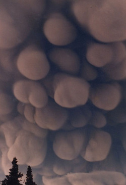 “Mammatus clouds are most often associated with the anvil