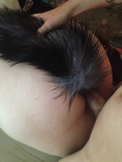 levintiveil:  Daddy likes to fuck me with my tail in 💖 