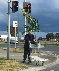 mercedescorby: An accidental Magritte painting in Bundoora https://instagram.com/p/BWhVynelep0/