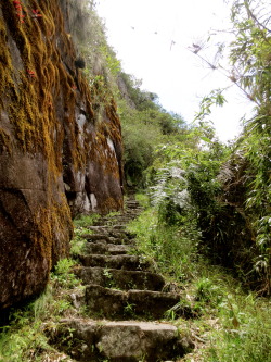transientskyline:  The Inka Way Huayna Picchu, Perú  