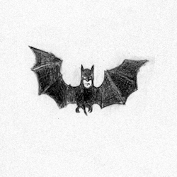 lucjan:  sugar sweet cute kawaii Batman gif here is my old batman