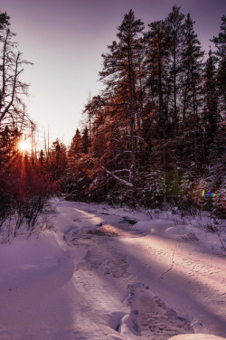 ponderation:  Purple Tint by Lee Bodson