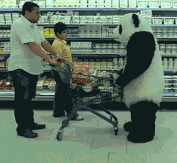 funnyordie:  18 Grocery Store GIFs Worth – Wait for it –